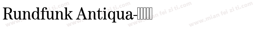 Rundfunk Antiqua字体转换